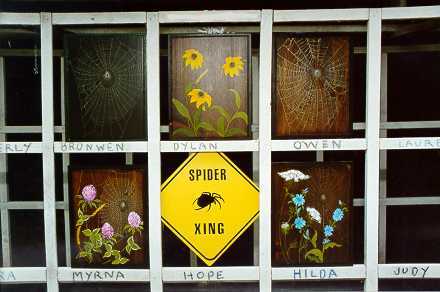 Spiders at work