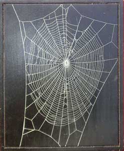 Black plaque with real web