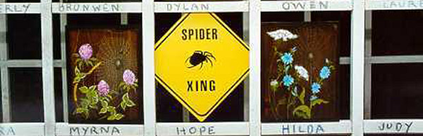 Picture - The Spiders workshop